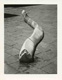 Collettiva allo Studio Carioni