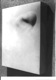 Athos Ongaro
