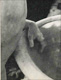 Athos Ongaro