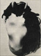 Athos Ongaro